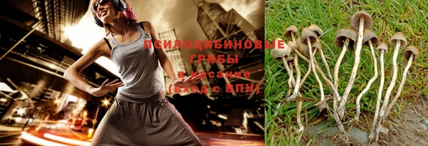 синтетический гашиш Алексин