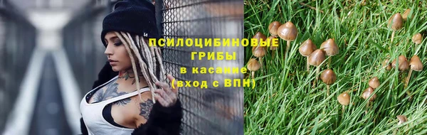 синтетический гашиш Алексин