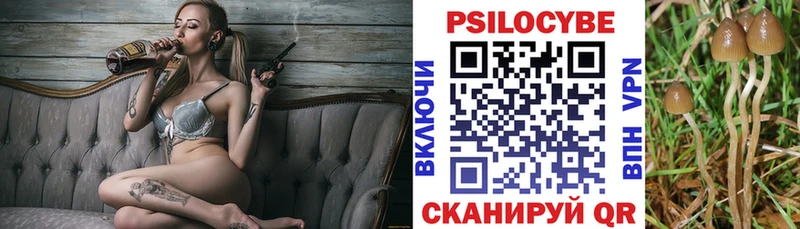 Галлюциногенные грибы Cubensis  МЕГА маркетплейс  Нижний Тагил 