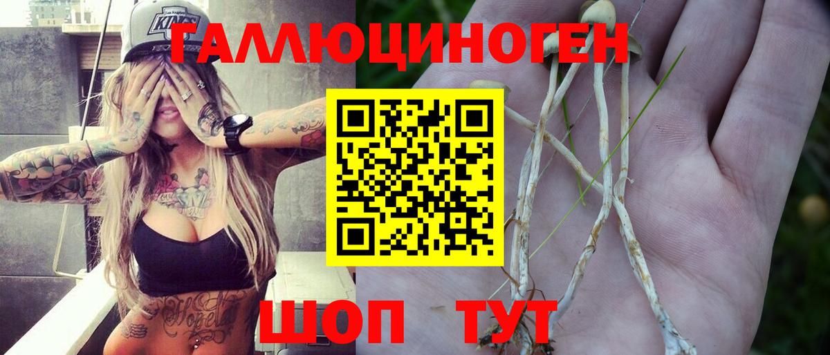 Псилоцибиновые грибы мицелий Нижний Тагил