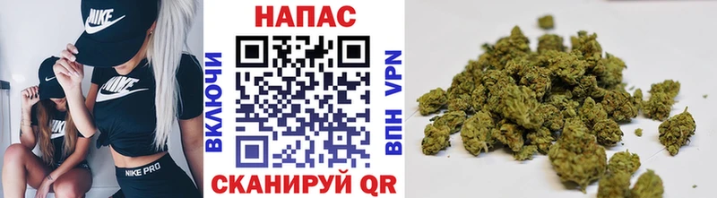 Бошки Шишки планчик  где купить   KRAKEN рабочий сайт  Нижний Тагил 